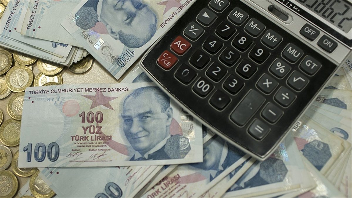 Orta Vadeli Program (OVP) döneminde enflasyon istenilen patikada gerileyene kadar