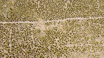 ANKARA (AA) – Narin, AA muhabirine, 2 yıl &ouml;nce başlattıkları