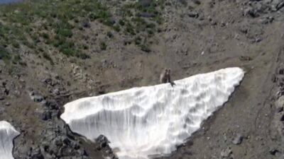 RIZE (AA) – Rize’de 3 bin 200 metre rakımlı Kızılbel