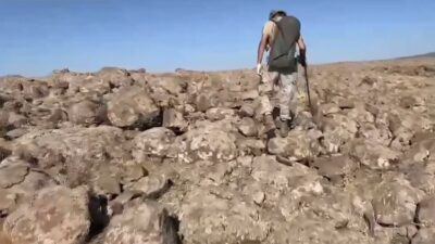 İçişleri Bakanı Ali Yerlikaya, 81 ilde silah kaçakçılarına ve ruhsatsız