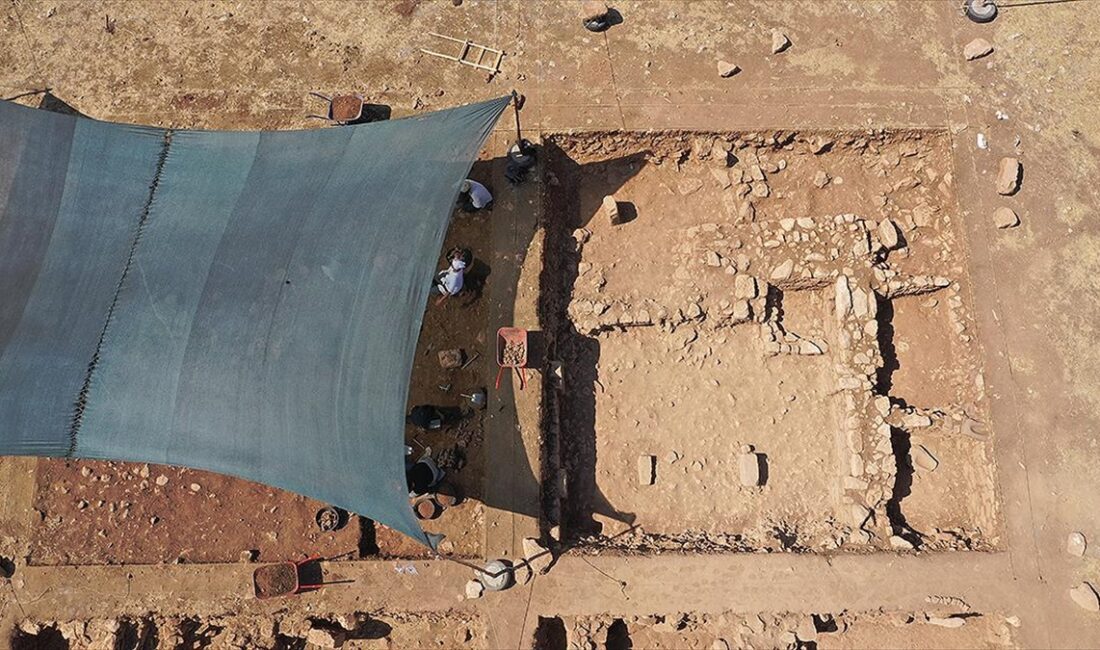 Şanlıurfa'da yürütülen "Taş Tepeler Projesi" kapsamında devam eden kazılarda ortaya