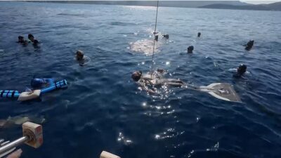 Antalya'nın Kaş ilçesinde düzenlenen Serbest Dalış Outdoor Gençler, Büyükler, Masterlar