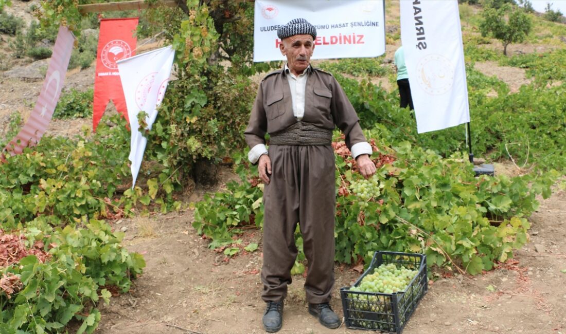 ŞIRNAK (AA) – Uludere Kaymakamı Bekir Yalçın, Yemişli köyünde düzenlenen