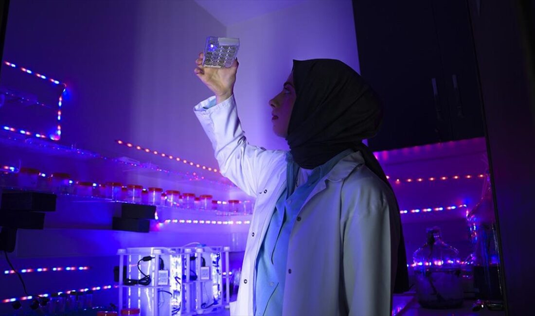 İstanbul Üniversitesi Fen Fakültesi Biyoloji Bölümü Öğretim Üyesi Prof. Dr.
