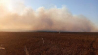KAYSERİ (AA) – Sultan Sazlığı Milli Parkı’ndaki yangında 50 hektar