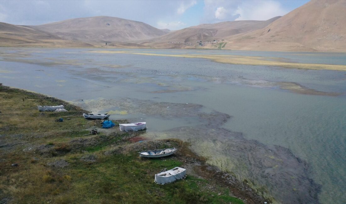 AĞRI (AA) – Taşlıçay ilçesine yaklaşık 30 kilometre uzaklıktaki Sinek