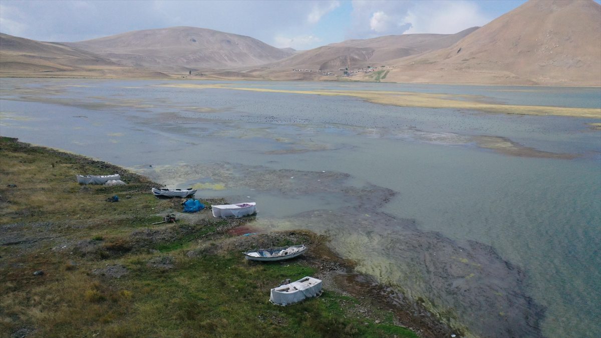 AĞRI (AA) – Taşlıçay ilçesine yaklaşık 30 kilometre uzaklıktaki Sinek