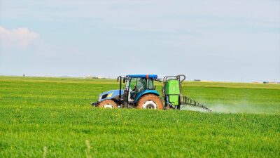 Türkiye Tarım Kredi Kooperatifleri (Tarım Kredi), sonbahar döneminde üreticilerin finansman