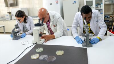 Selçuk Üniversitesi Tarım ve İklim Değişiklikleri Uygulama ve Araştırma Merkezince,