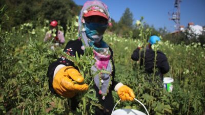 Adana Şehir Eğitim ve Araştırma Hastanesinde görevli bir grup doktorun