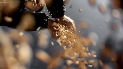 Türkiye Tohumcular Birliği Başkanı Hacı Ömer Güler, "Tohum yetiştiricisi çiftçilerimiz,