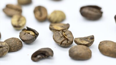 Türkiye'nin kahve ihracatı 2020-Ağustos 2024 dönemini kapsayan yaklaşık 5 yılda