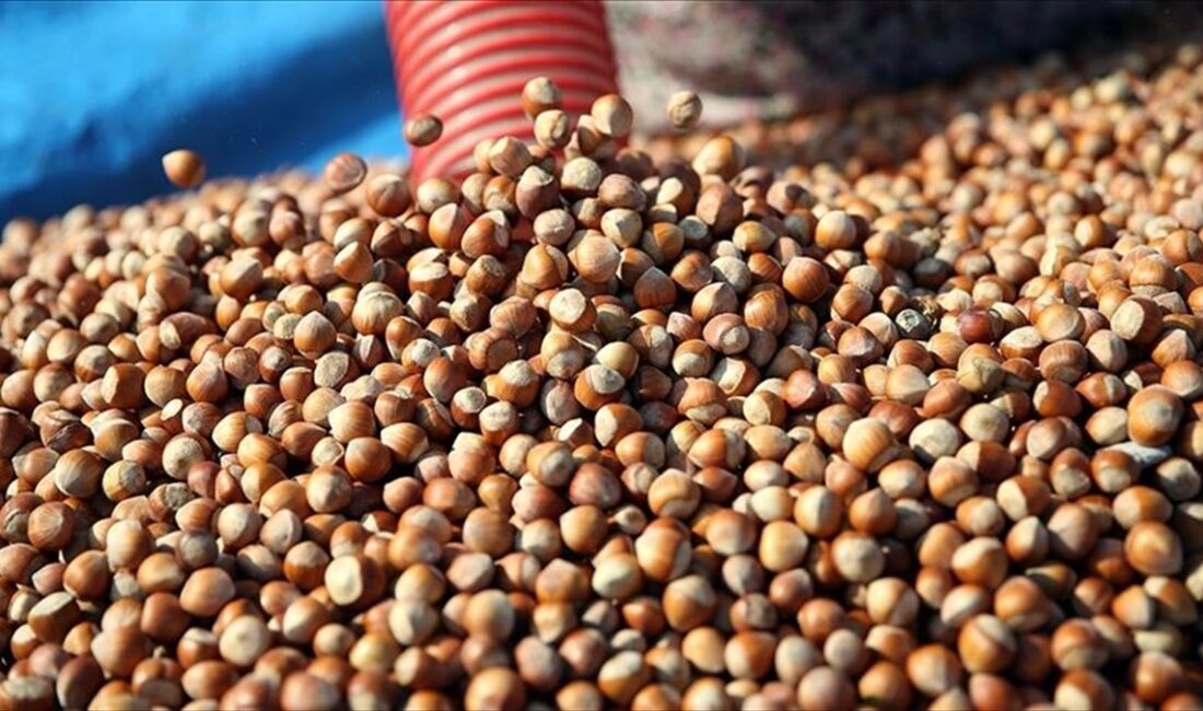 Karadeniz Fındık ve Mamulleri İhracatçıları Birliği (KFMİB) Yönetim Kurulu Başkan