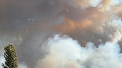 UŞAK (AA) – Karak&ouml;se k&ouml;y&uuml; Hamzabey mevkisindeki ormanlık alanda d&uuml;n