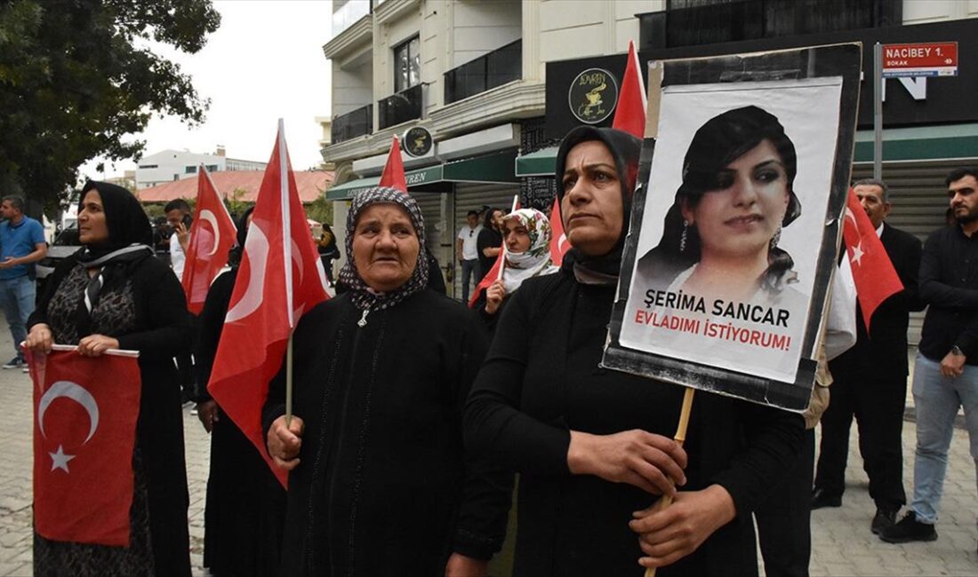 Van'da çocukları dağa kaçırılan aileler, Halkların Eşitlik ve Demokrasi Partisi