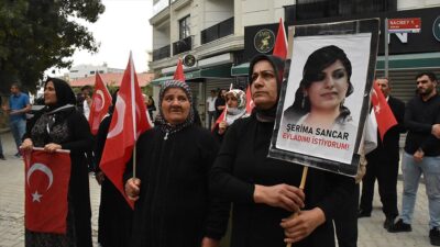 Van'da çocukları dağa kaçırılan aileler, Halkların Eşitlik ve Demokrasi Partisi