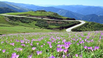 Doğu Karadeniz yaylaları, yayladan dönüş zamanının gelmesinin habercisi olarak görülen
