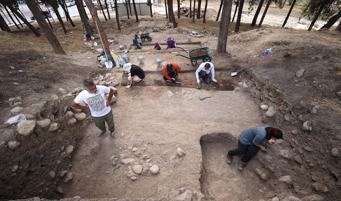 Anadolu'nun en eski yerleşim yerlerinden Mersin'deki Yumuktepe Höyüğü'nde yürütülen arkeobotanik