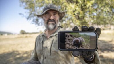 İzmir'de yaşayan 45 yaşındaki akademisyen Ferhat Matur, yılın belirli zamanlarında