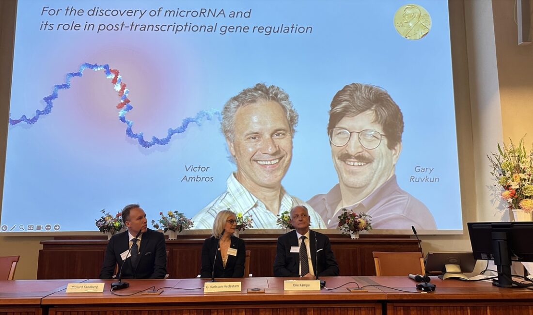 2024 Nobel Tıp Ödülü, "mikroRNA'nın keşfi ve transkripsiyon sonrası gen