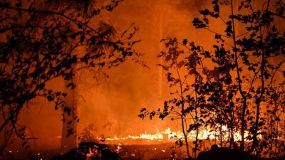 LOS ANGELES (AA) – California Orman ve Yangın Koruma Departmanından