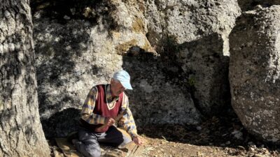 ANTALYA (AA) – SÜLEYMAN ELÇİN – Antalya'nın Manavgat ilçesinde turistlerin