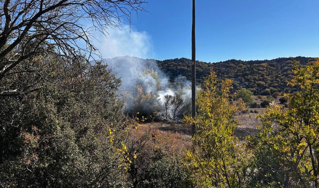 ANTALYA (AA) – Antalya'nın Akseki ilçesinde meyve bahçesinde çıkan yangında