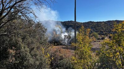 ANTALYA (AA) – Antalya'nın Akseki ilçesinde meyve bahçesinde çıkan yangında