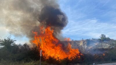 ANTALYA (AA) – Antalya’nın Aksu ilçesinde çıkan ot ve çalılık