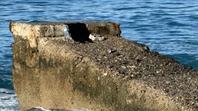 ANTALYA (AA) – Antalya'nın Alanya ilçesinde sahilde erkek cesedi bulundu