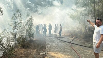 ANTALYA (AA) – Antalya'nın Alanya ilçesinde yerleşim yerlerine yakın alanda