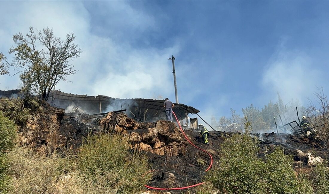 ANTALYA (AA) – Antalya'nın Kepez ilçesinde bir ağılda çıkan yangında
