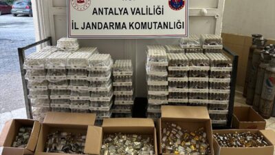 ANTALYA (AA) – Antalya'da, jandarma ekiplerinin gerçekleştirdiği asayiş uygulamasında çeşitli