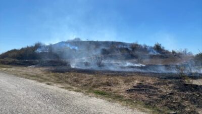 ANTALYA (AA) – Antalya'nın Serik ilçesinde sazlık alanda çıkan yangın