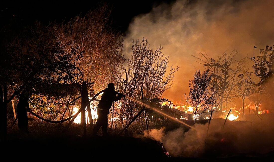 ANTALYA (AA) – Antalya'nın Akseki ilçesinde tarım araçlarının konulduğu depoda