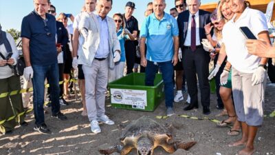 ANTALYA (AA) – Antalya'nın Manavgat ilçesinde tedavileri tamamlanan nesli tükenme