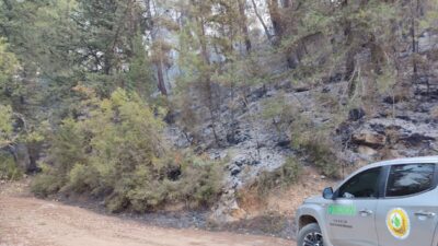 ANTALYA (AA) – Antalya'nın Kumluca ilçesinde çıkan orman yangınında yaklaşık