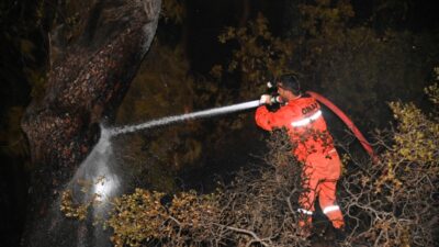 ANTALYA (AA) – Antalya'nın Manavgat ilçesinde çıkan orman yangını büyümeden