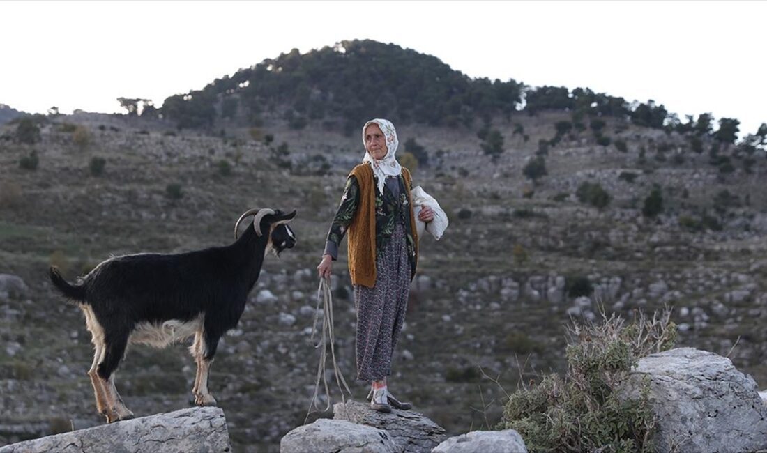Antalya'nın Manavgat ilçesinde yaşayan Fatma Sevinç, 45 yıldır keçilerini otlattığı