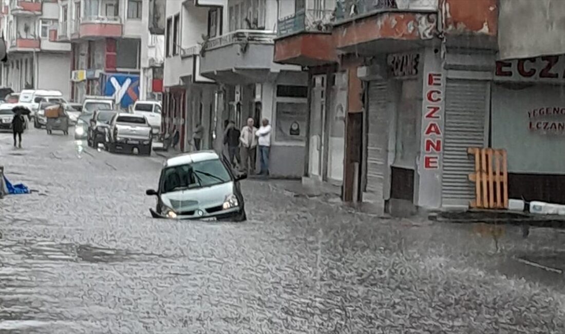 ARTVIN (AA) – ARTVİN (AA) – İlçede aralıklı etkili olan
