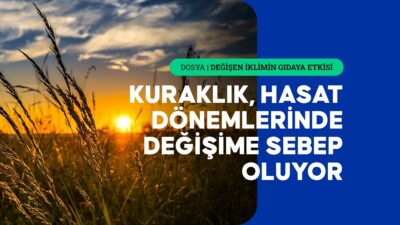 Uzmanlar, iklim değişikliğiyle yaşanan kuraklık ve yağış rejimindeki düzensizliklerin bazı