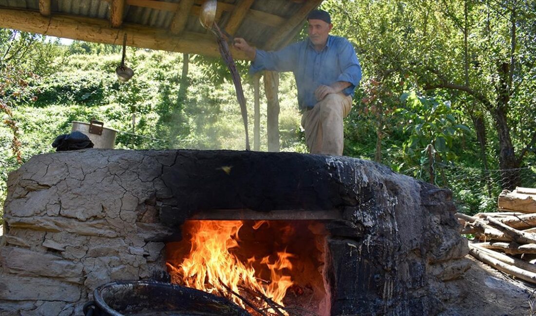 BİTLİS (AA) – İlçeye bağlı Akşar köyü Aşağı Kılavuz mezrası