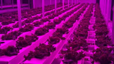 İstanbul'da lüks bir alışveriş merkezinin kapalı otoparkında kurulan yaklaşık 1