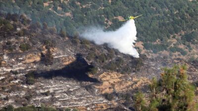 AYDIN (AA) – Habibler Mahallesi’nin &uuml;st kesimlerindeki ormanlık alanda hen&uuml;z