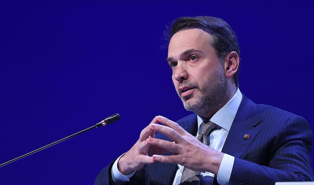 Enerji ve Tabii Kaynaklar Bakanı Bayraktar, doğal gazın iklim değişikliğiyle