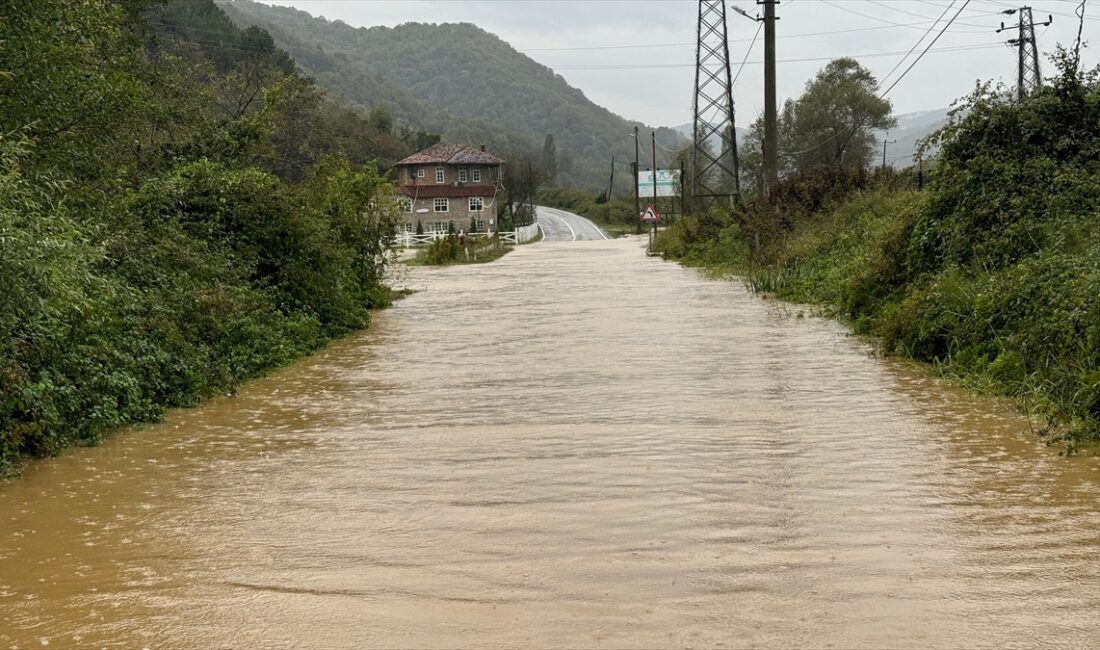 BARTIN (AA) – Bartın Valiliğinin sosyal medya hesabından yapılan açıklamada,