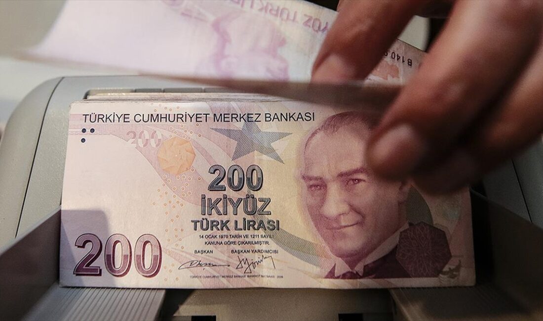 Bireysel Emeklilik Sistemi (BES) katılımcı sayısının bu yıl sonunda 16,5