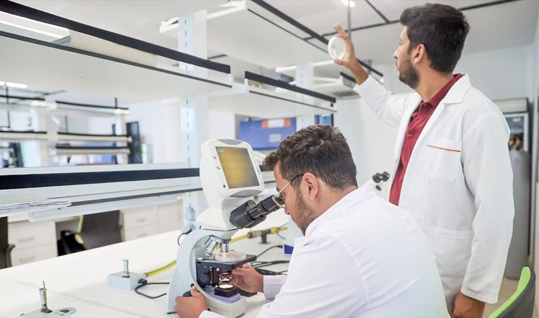 KONYA (AA) – Kliniğe başvuran çiftçilerin tohumları, laboratuvarda çeşitli testlere