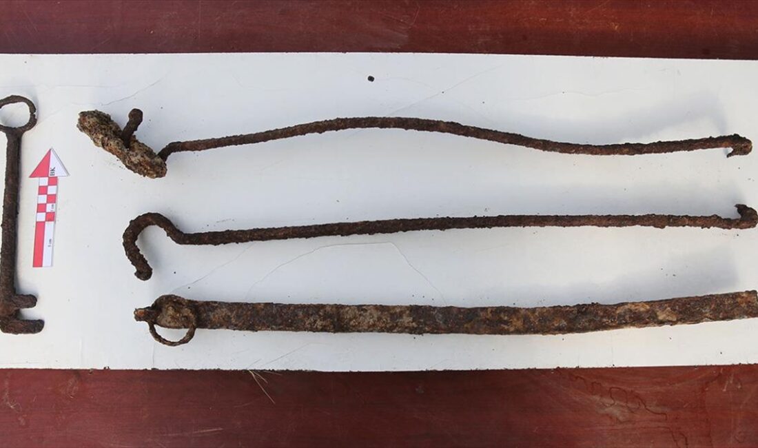 Bitlis Kalesi'nde yürütülen arkeolojik kazı çalışmalarında sarayın kapısına ait olduğu
