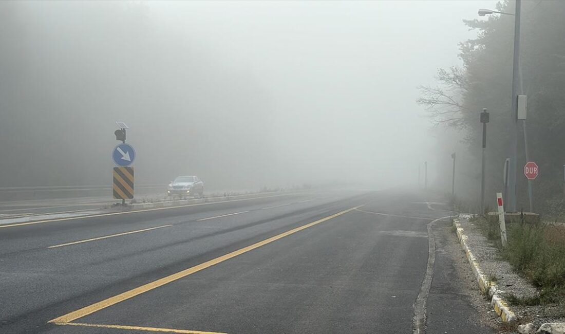 Bolu, Düzce ve Bartın'da sis etkili oldu.